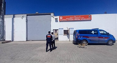 Aranan hükümlüler JASAT operasyonu ile yakalandı!