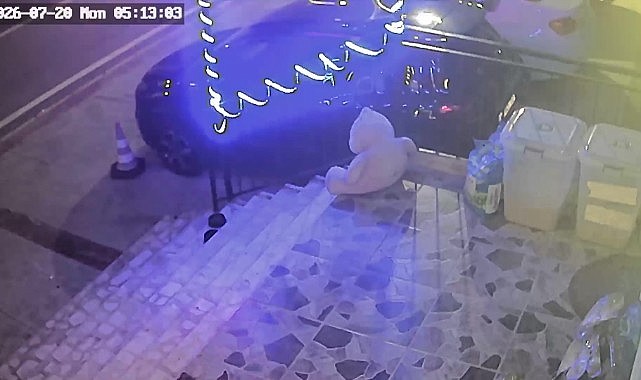 Petshop önündeki mama kutusunu çaldı!