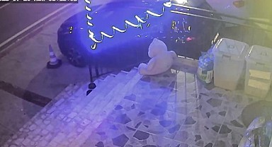 Petshop önündeki mama kutusunu çaldı!