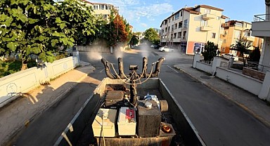 Yaz geldi! Sineklerle mücadele başladı