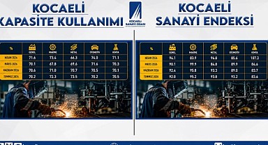 Zeytinoğlu’ndan sanayi kapasite verilerini değerlendirdi