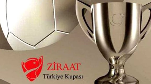 Altınova-Edirne, Bartın-Bozüyük Vitra