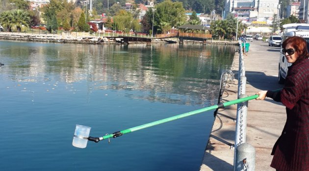 Balıklar dip akıntılarından etkilendi
