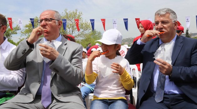“Ben de fırçalıyorum”