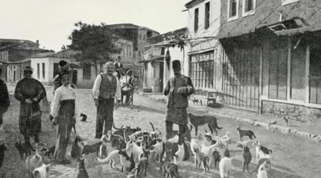 "Bir Kap Su Dolu Mutluluk"