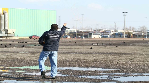 Büyükşehir kuşları da aç bırakmadı