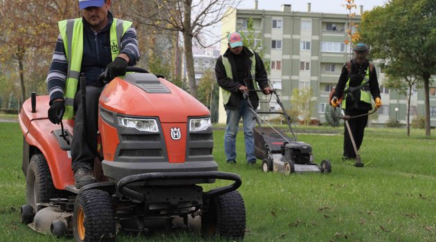 Çimlerden elektrik ve biogaz üretiliyor