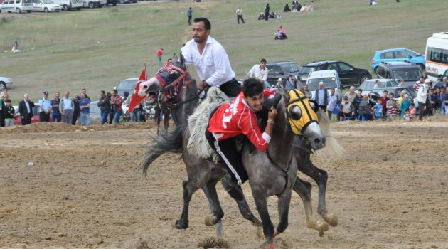 Darıca Cirit Şölenine hazır