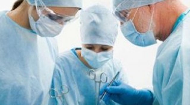 Domuzdan insana organ nakli yapılacak