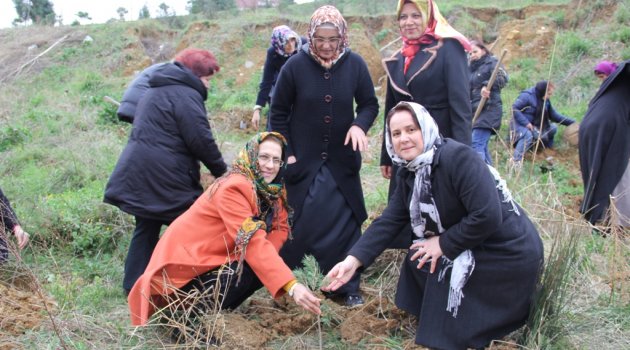 Hatıra Ormanında Fidan Dikildi