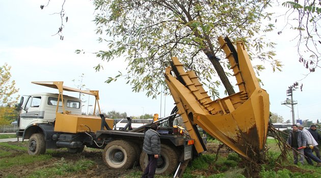 Her şey daha yeşil bir Kocaeli için!