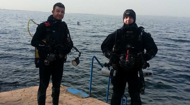 Kalamar üremek için İzmit Körfezi’ni seçiyor