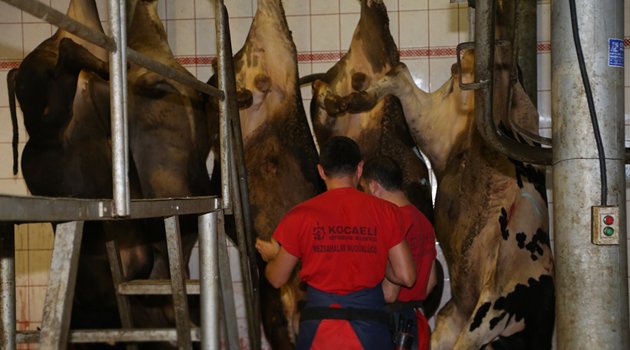 Kasaplık eğitim kursları verildi
