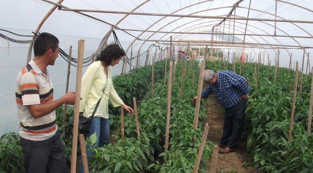 Sera naylonları ile kaliteli ve sağlıklı ürünler