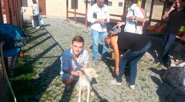 Sokak hayvanları yalnız kalmıyor