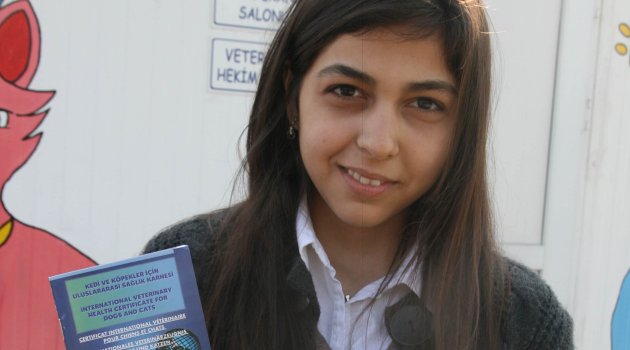 Sokak hayvanlarını ücretsiz sahiplendiriyor