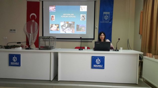 Sokak hayvanlarını yakalama eğitimi