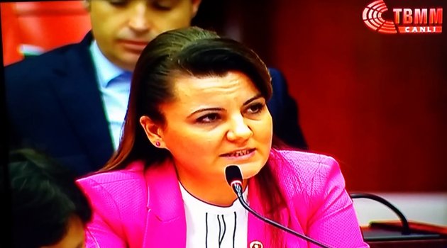 Sungurlu Barajı bir kez daha mecliste!
