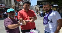 7’den 70’e yoğun ilgi