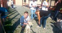 Sokak hayvanları yalnız kalmıyor