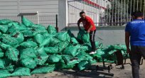 Yak, yak, ısın!...