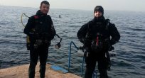 Kalamar üremek için İzmit Körfezi’ni seçiyor