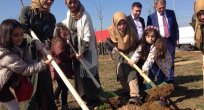 Abla-kardeş fidan diktiler