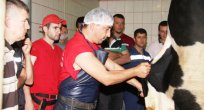 Acemi kasaplara uyarı!