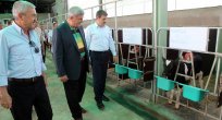 Başkan, “Hayvancılıkta Modern tesisler artmalı”