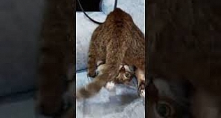 Haftasonu gelince biz :)