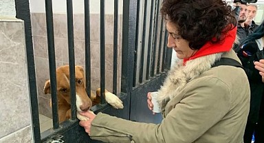 Hayvanseverler rehabilitasyon merkezine gitti!